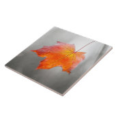 Carreau Feuille de Maple Rouge - Automne Velours (Côté)