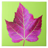 Carreau Feuille de Maple Rouge d'Automne sur Floral Vert (Devant)