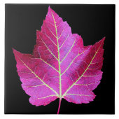 Carreau Feuille de Maple Rouge d'Automne sur Fond Noir (Devant)