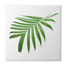 Feuille de palme moderne naturelle