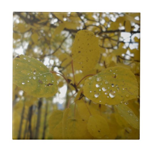 Carreau feuille de tremble (Devant)