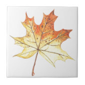 Carreau Feuille d'érable (Devant)