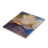 Carreau Feuille d'érable jaune congelée Automne Nature (Côté)