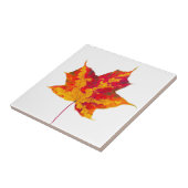 Carreau Feuille d'érable rouge (Côté)