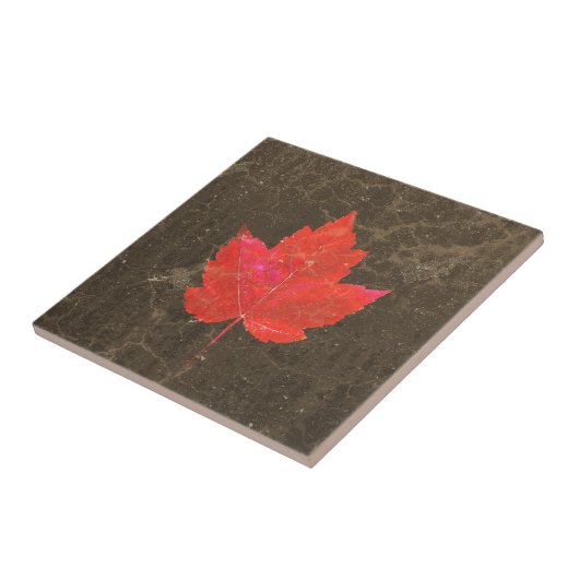 Carreau Feuille d'érable Rouge Brown Automne Pays Texture (Côté)