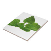 Carreau Feuille en bon état (Côté)