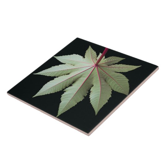 Carreau Feuille et tige (Côté)