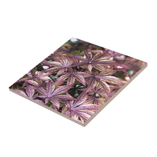 Carreau Feuille japonais (Côté)