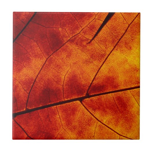 CARREAU FEUILLE ORANGE (Devant)