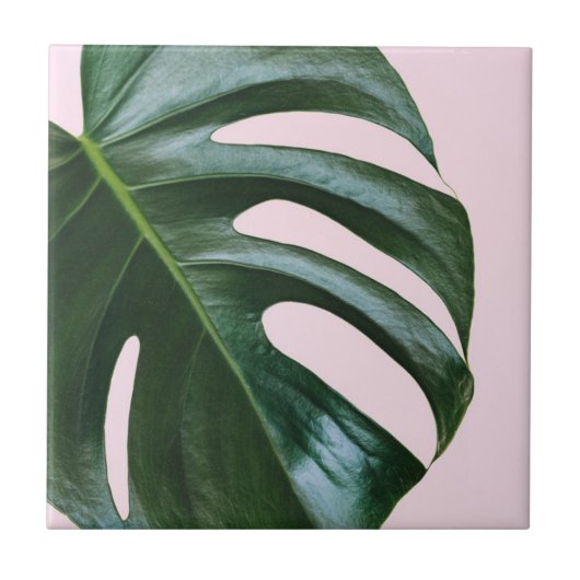 Carreau Feuille tropicale de Monstera (Devant)