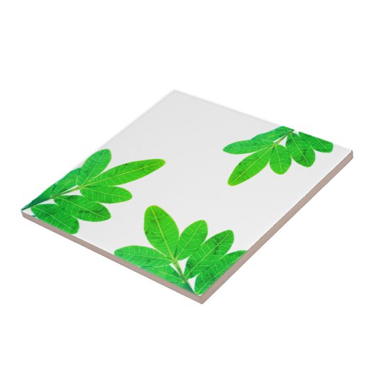 Carreau Feuilles d'arbre Mango vert brillant (Côté)