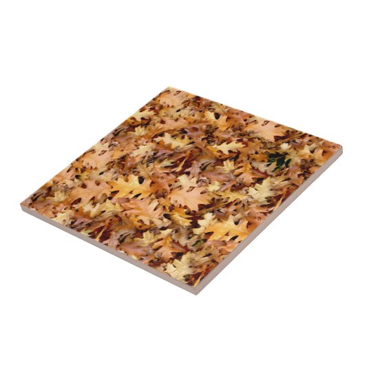 CARREAU FEUILLES D'AUTOMNE (Côté)