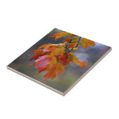 Carreau Feuilles d'automne (Côté)