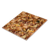 CARREAU FEUILLES D'AUTOMNE (Côté)