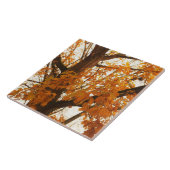 Carreau Feuilles d'automne (Côté)