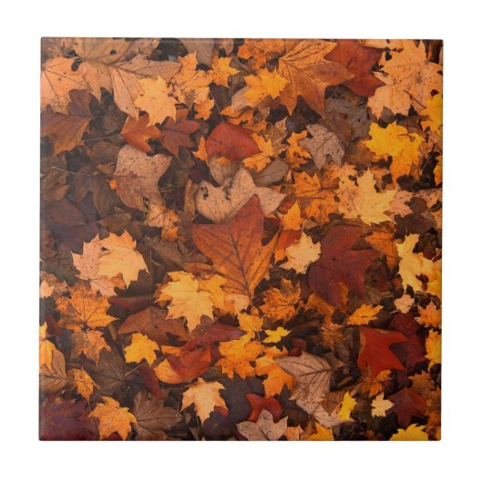 Carreau Feuilles d'automne (Devant)