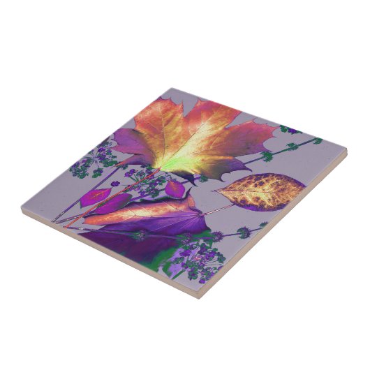 Carreau Feuilles d'automne à Lilac (Côté)