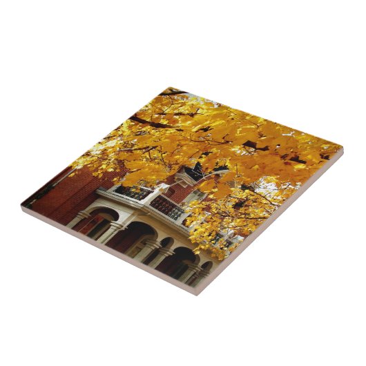 Carreau Feuilles d'automne jaunes et ancienne maison en br (Côté)