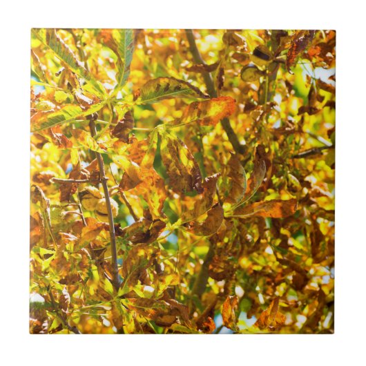Carreau Feuilles d'automne motif (Devant)
