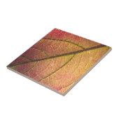 Carreau Feuilles de automne jaunes et rouges (Côté)