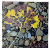 Carreau Feuilles de bois de chalet de Fremont sur la plain (Devant)