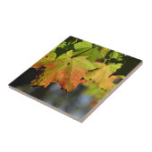 Carreau Feuilles de chute colorées (Côté)