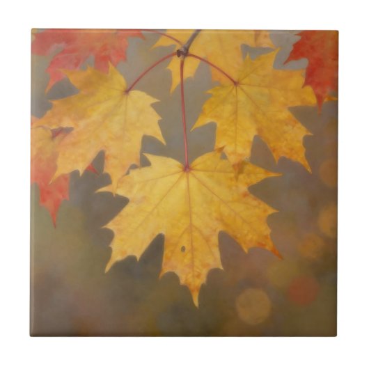 Carreau Feuilles de érable d'automne doré (Devant)
