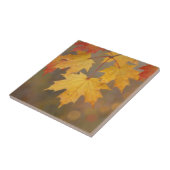 Carreau Feuilles de érable d'automne doré (Côté)