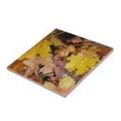 Carreau Feuilles de érable tombées Jaune Automne Nature (Côté)