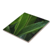 Carreau Feuilles de Forêt Tropicale (Côté)