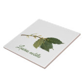 Carreau Feuilles de laurier frais (Côté)