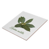 Carreau Feuilles de laurier frais (Côté)