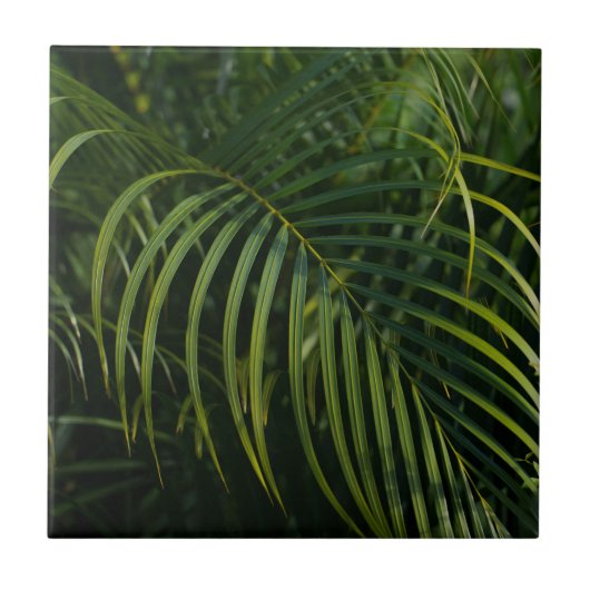 Carreau Feuilles de palmier vert foncé (Devant)