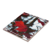 Carreau Feuilles de vacances (Côté)