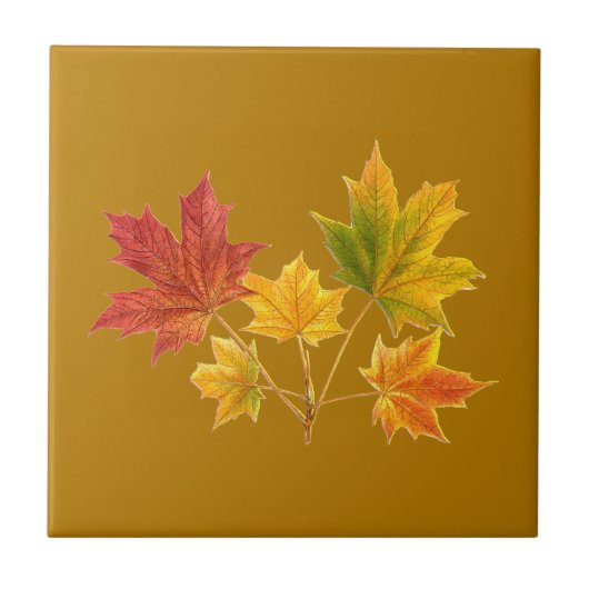 Carreau Feuilles d'érable (Devant)