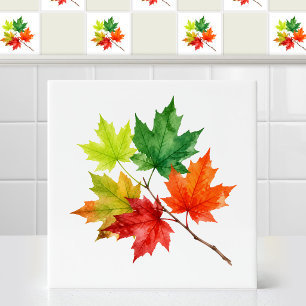 Carreau Feuilles d'érable canadien mixtes saisonnières aqu