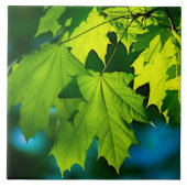 Carreau Feuilles d'érable vert frais (Devant)