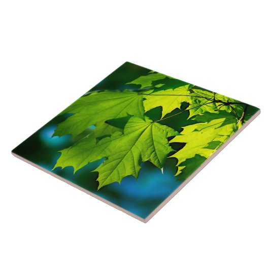 Carreau Feuilles d'érable vert frais (Côté)