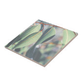 Carreau Feuilles d'Eucalyptus vert pâle (Côté)