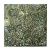 Carreau Feuilles d'oliviers (Devant)