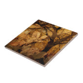 Carreau Feuilles d'or et de Brown| Île Merritt, FL (Côté)