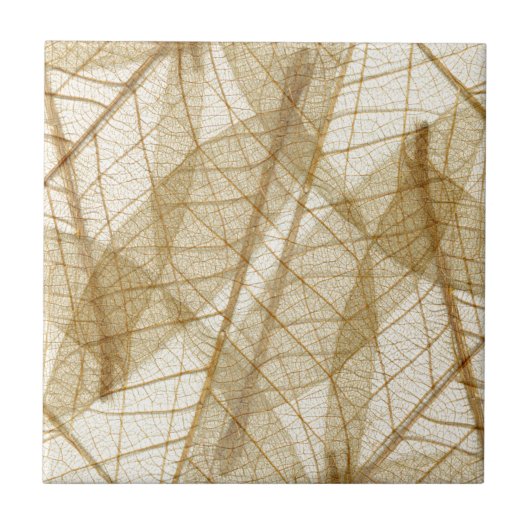 Carreau Feuilles en dentelle beige crème pâle (Devant)