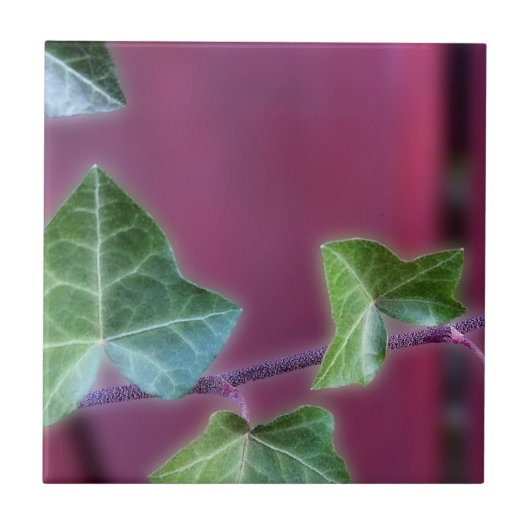 Carreau feuilles inactifs (Devant)