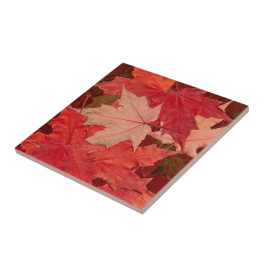 Carreau Feuilles Red Maple (Côté)
