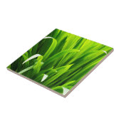 Carreau Feuilles rétroéclairés dans le jardin (Côté)