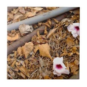 Carreau Feuilles tombés et fleurs sur la jupe