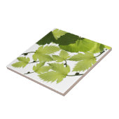 Carreau Feuilles verts de la vigne (Côté)
