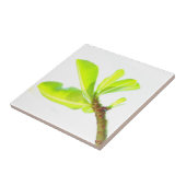 Carreau Feuilles verts Kudu Lily Nature (Côté)