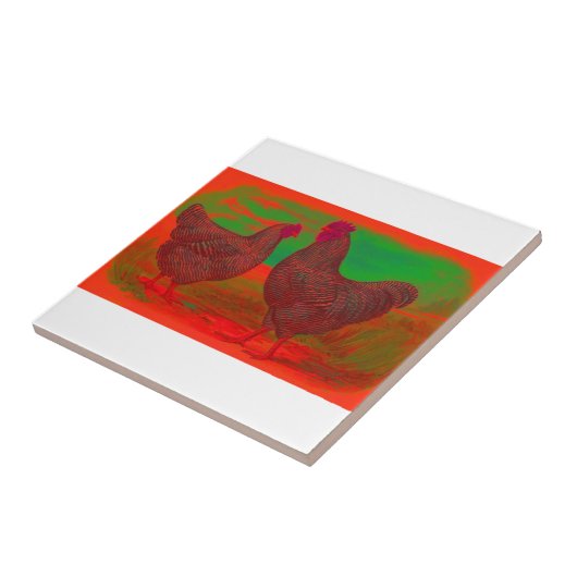 Carreau FeuSang (Côté)