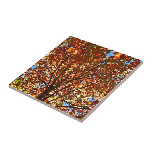 Carreau Feux d'artifice d'automne (Côté)